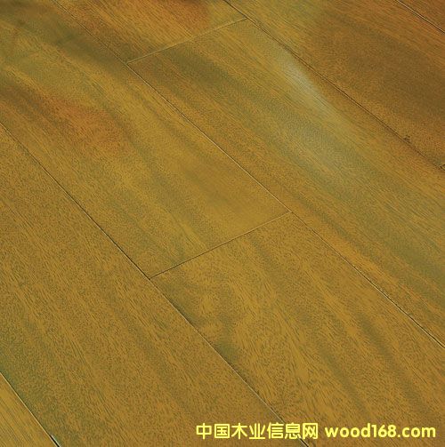 ����ľ��TER��TB��