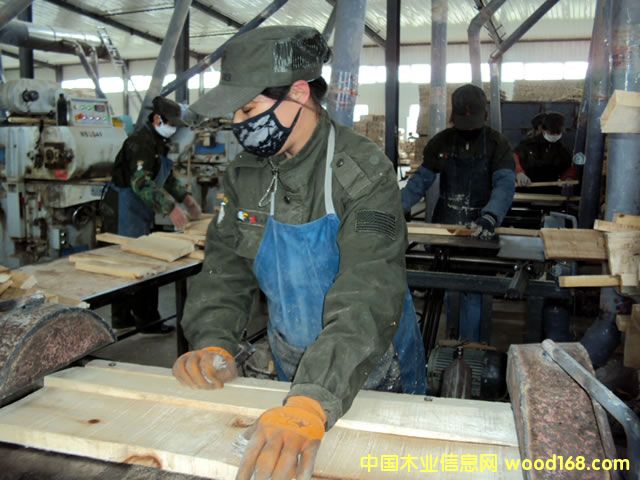 ��(sh��)ľ��(f��)�ϵذ塢�ذ�о�l