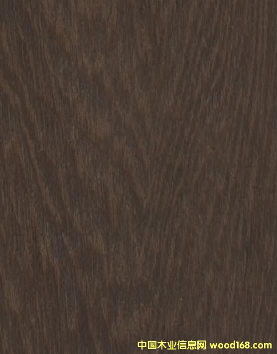 雞翅木的詳細(xì)介紹