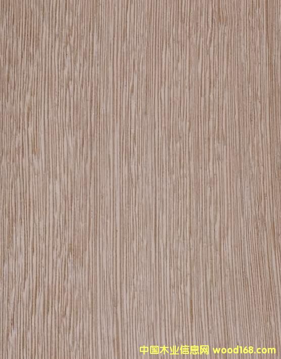 赤木B的詳細(xì)介紹