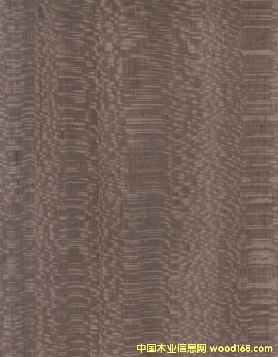 鱷魚皮的詳細(xì)介紹