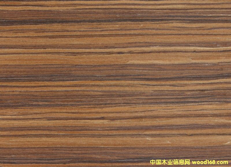 ������֦303��Ԕ��(x��)��B