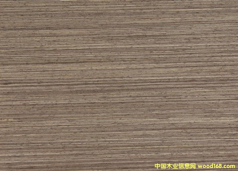 ����ľQ��Ԕ��(x��)��B