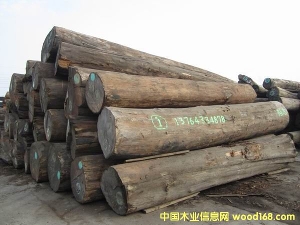 ����ľ��Ԕ����B