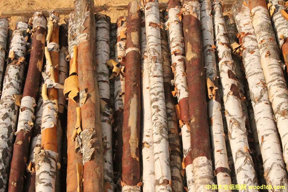 ��ľԭľ��Ԕ��(x��)��B