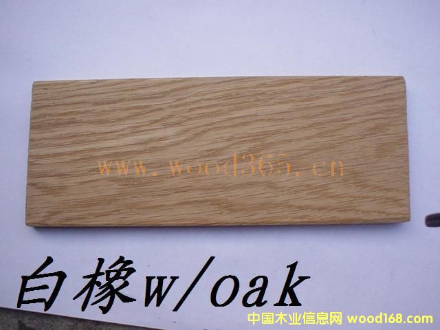 白橡木的詳細(xì)介紹