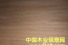 �ľֱƴ���Ԕ��(x��)��B