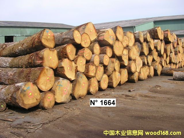 ����(gu��)��ľ �W��