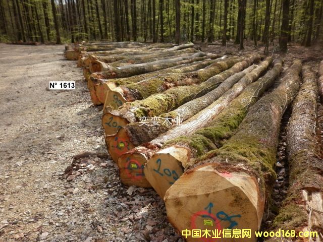 �W�� ������ľ��Ԕ��(x��)��B