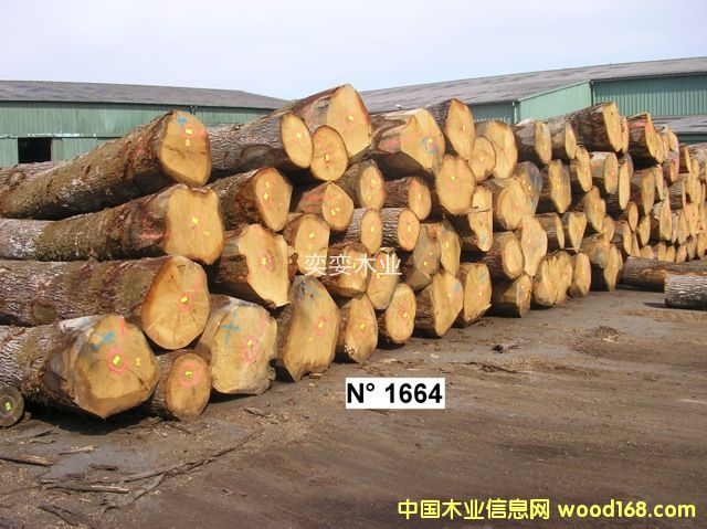 �W�� ������ľ��Ԕ��(x��)��B