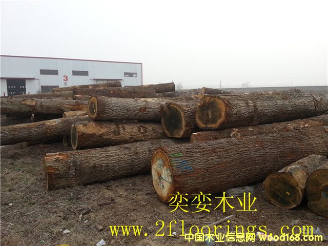 ����(gu��)��ľ