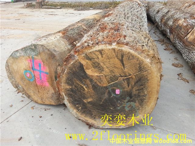 ����(gu��)��ľ