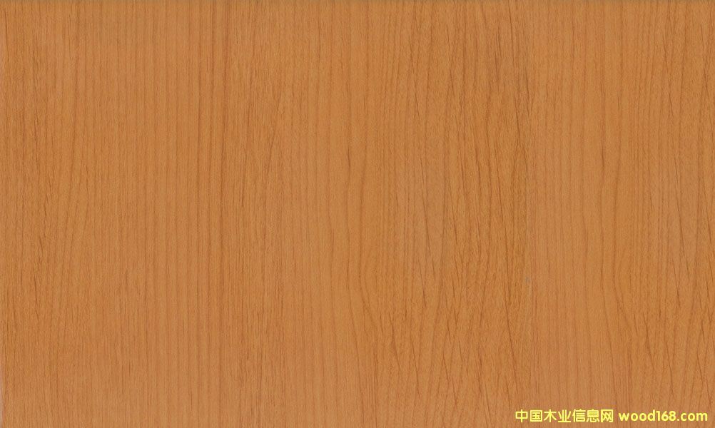 赤楊木的詳細(xì)介紹