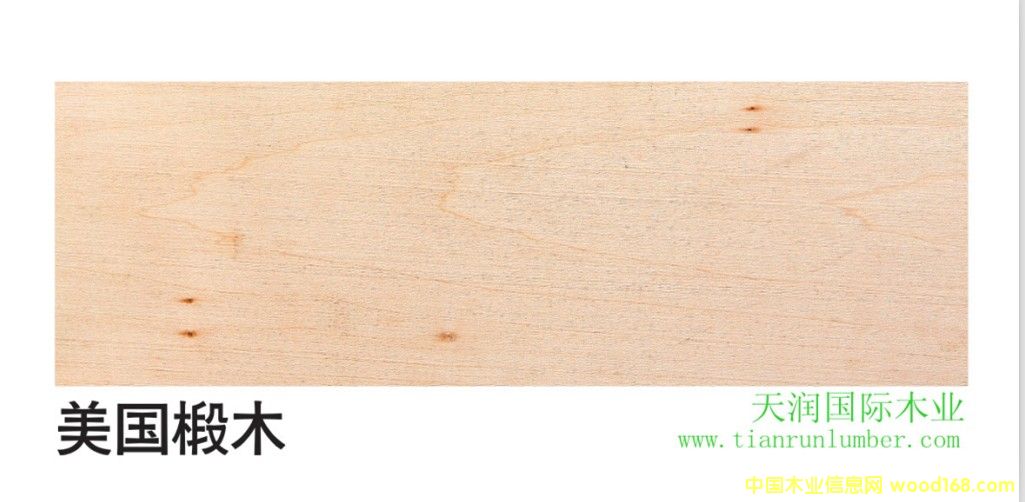 ����(gu��)�ľ