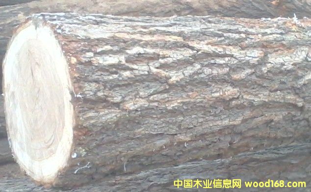 �ܘ�(sh��)��Ԕ��(x��)��B