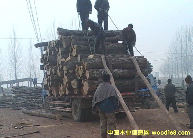 ����(sh��)��Ԕ��(x��)��B