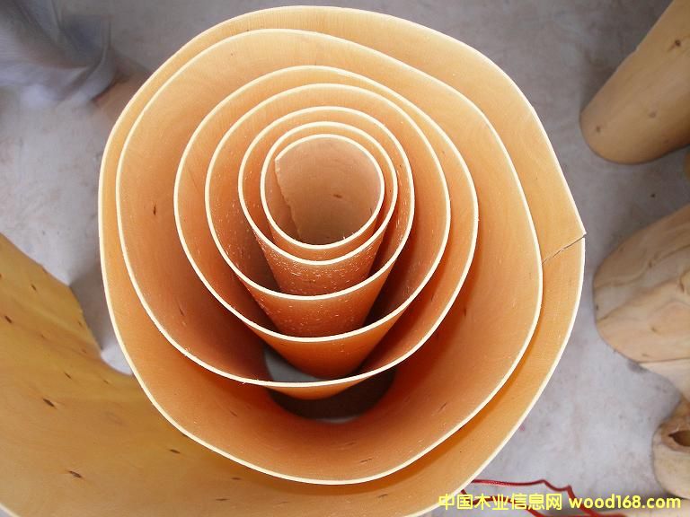 桉樹單板的詳細(xì)介紹