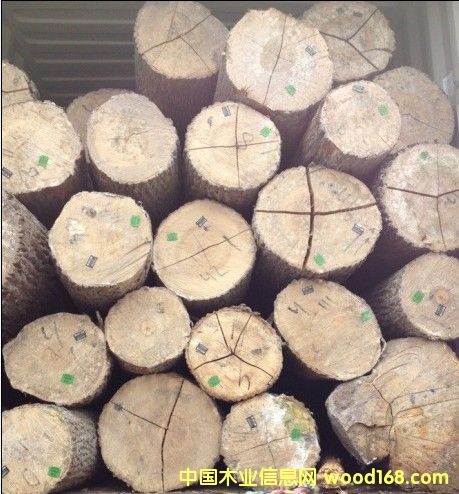 ��Ϟ?z��i)�ԭľ��Ԕ����B