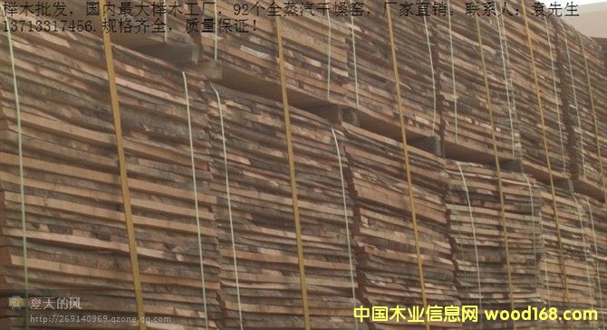 ��ľ��ĵ�Ԕ����B