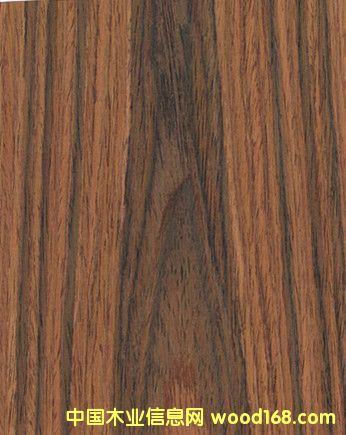 ��ɽ�y��֦ľƤ �Ҿ�ľƤ�N�� �|ݸľƤ���l(f��)��Ԕ��(x��)��B