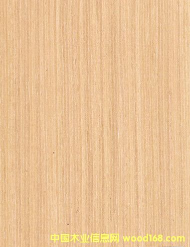 ˮϴ��ľƤ ��(x��)�yˮϴ��ľ �¿�Ƽ�ľƤ ľƤ�S��