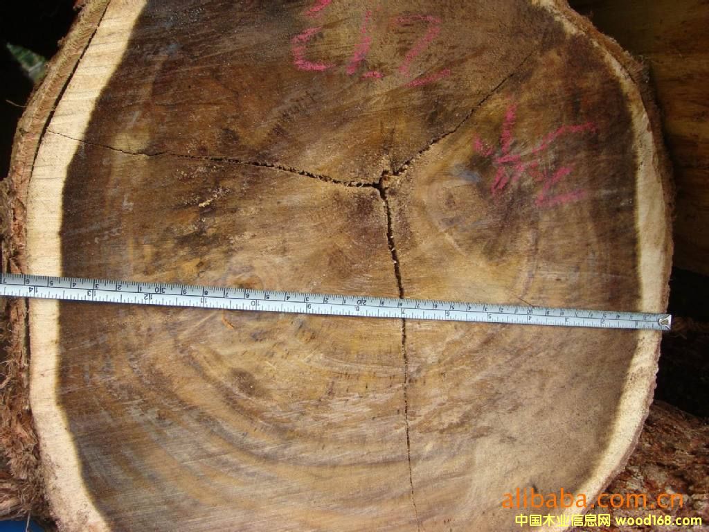 �R��(l��i)������˼ľԭľ��Ԕ��(x��)��B