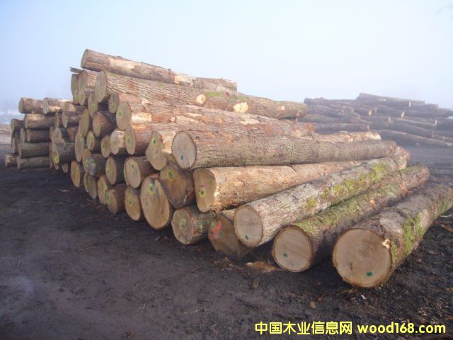 �·��W��ABC������ԭľ