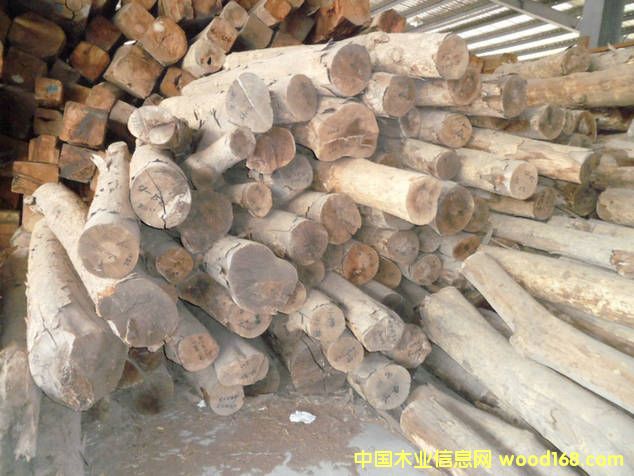 ��(y��u)�r(ji��)��z骵�Ԕ��(x��)��B