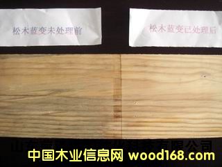 ��ľ�Ҿ��{(l��n)׃��������Ԕ��(x��)��B