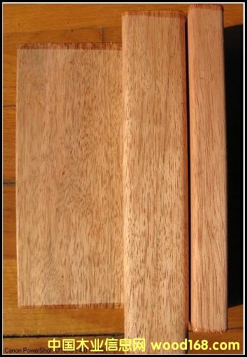 ����ľ�����Xһ�����|(zh��)����ô�����Ϻ����h(yu��n)ľ�I(y��)��Ԕ��(x��)��B