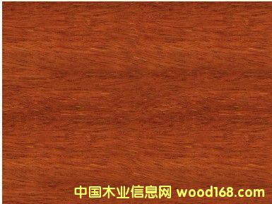 ����(y��ng)�y��ľ������y��ľ����(b��o)�r(ji��)���Ϻ��S���y��ľֱ�N��Ԕ��(x��)��B