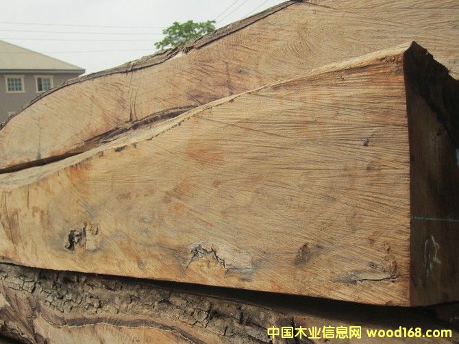 ����ľ��Ԕ����B