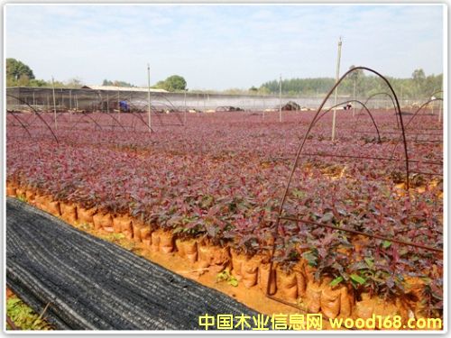 ��(y��u)�|(zh��)�����ľ��Ԕ��(x��)��B