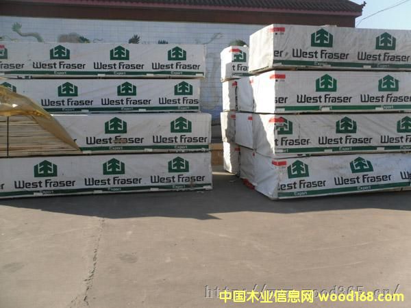 ��������SPF���