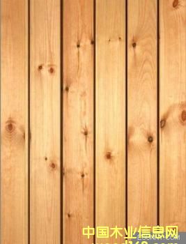 白松的詳細(xì)介紹