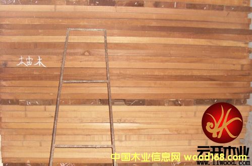 柚木的詳細(xì)介紹