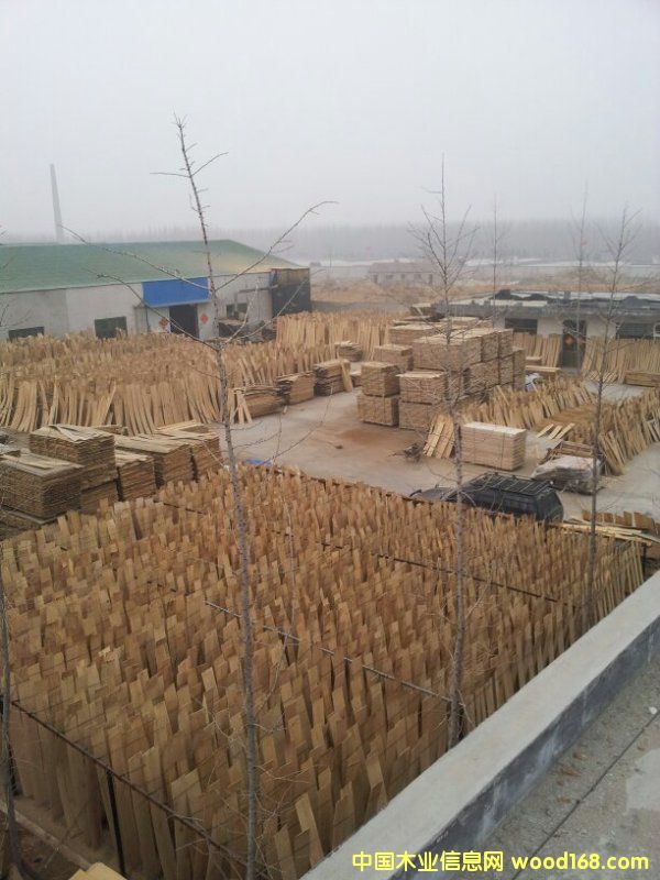 �M�ښW����������вĵذ�����Ԕ����B