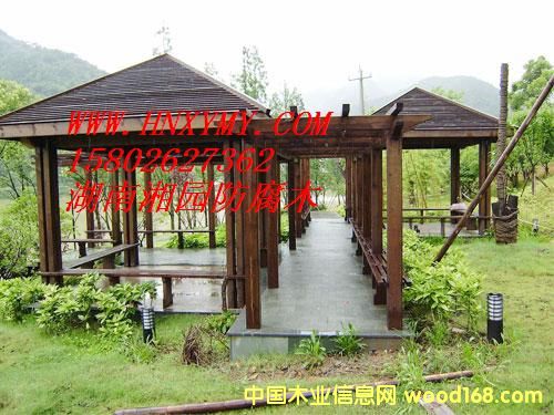 �L(zh��ng)ɳ����ľ��ͤ��Ԕ��(x��)��B