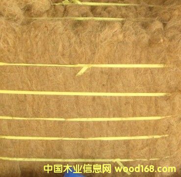 Ҭ���w�S��Ԕ��(x��)��B