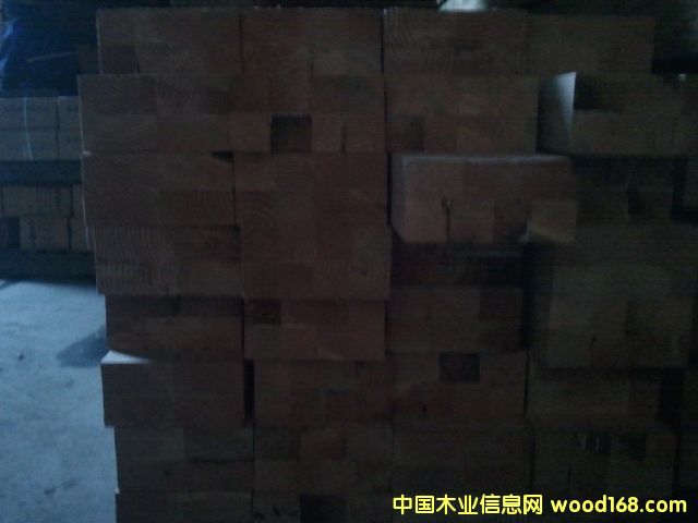 花旗松的詳細(xì)介紹