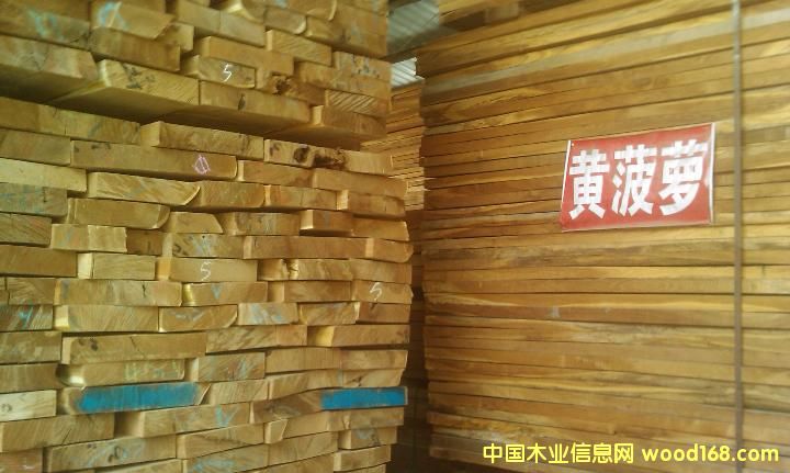 黃菠蘿的詳細(xì)介紹