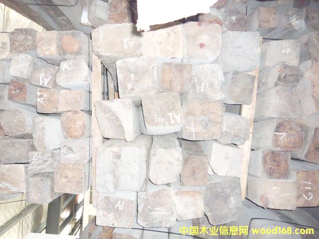 ��֦ľ��Ԕ����B