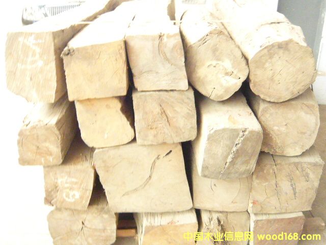 ��֦ľ��Ԕ����B