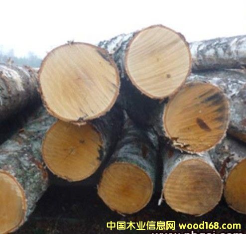 �W�ްט�ԭľ�Џ���Ԕ��(x��)��B