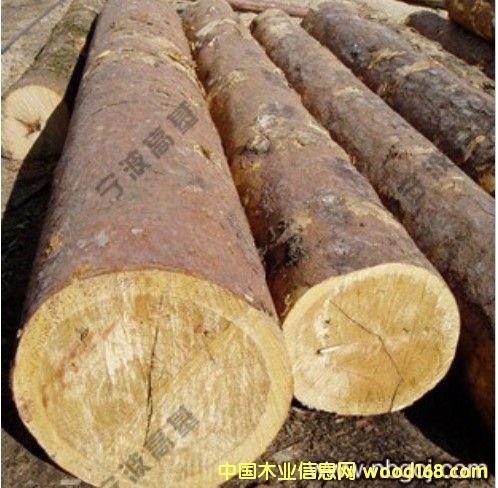 �W�ް��ɣ���ɼ��ԭľС����Ԕ��(x��)��B