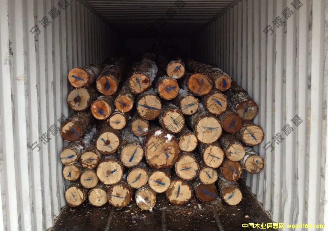 �W�ްט�ԭľС����Ԕ��(x��)��B