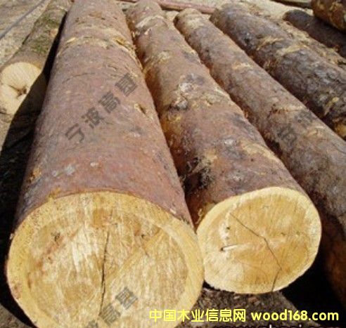 �W�ް��ɣ���ɼ��ԭľ�󏽵�Ԕ��(x��)��B