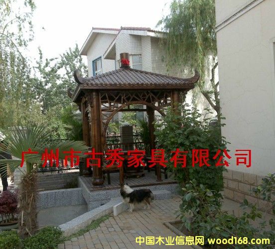 �V�ݛ�ͤ��Ԕ����B