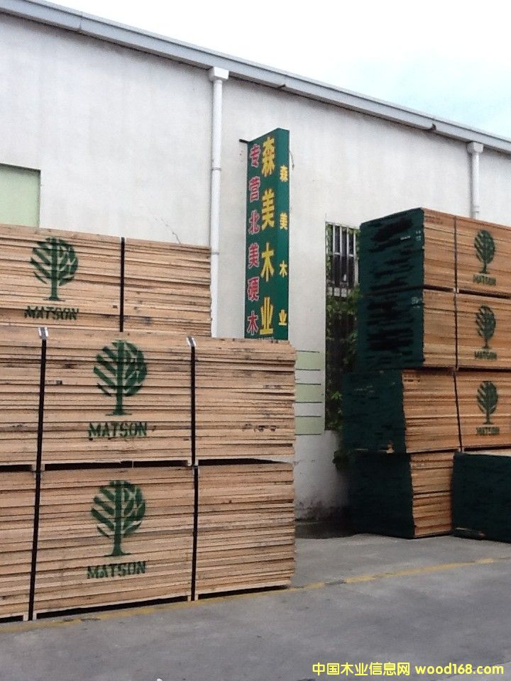 紅橡的詳細(xì)介紹