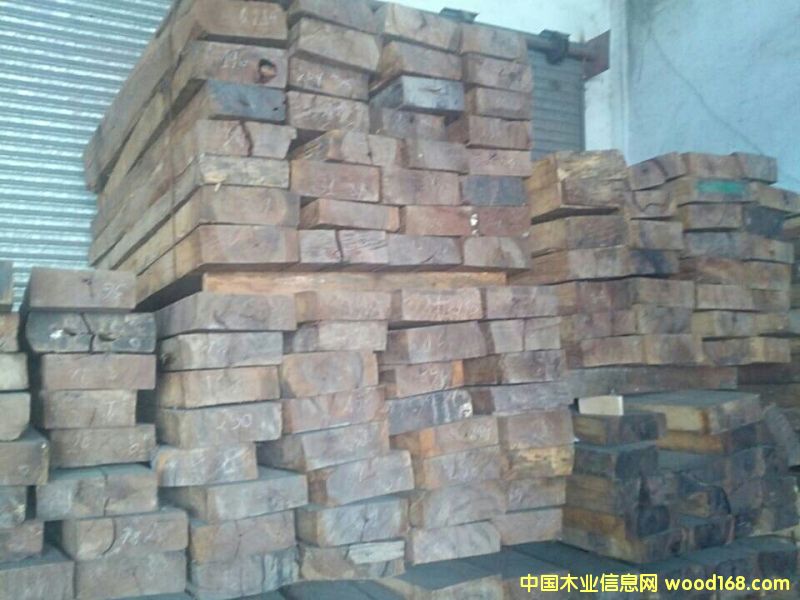 花枝的詳細介紹